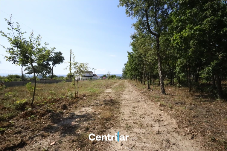 Terreno Comércio / Armazém para Venda em Mangualde, Mesquitela e Cunha Alta Foto 2
