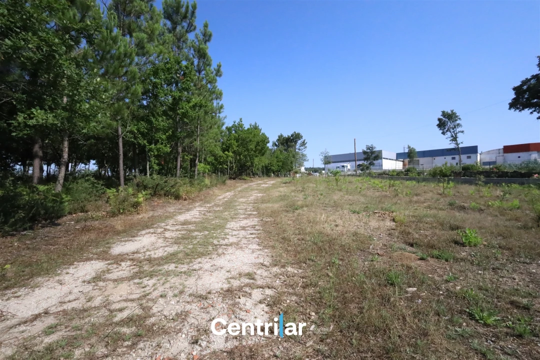Terreno Comércio / Armazém para Venda em Mangualde, Mesquitela e Cunha Alta Foto 3
