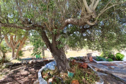 Quinta T3 para Venda em Moncarapacho e Fuseta