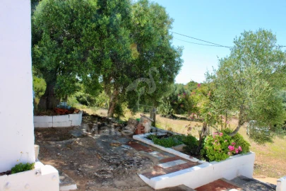 Quinta T3 para Venda em Moncarapacho e Fuseta