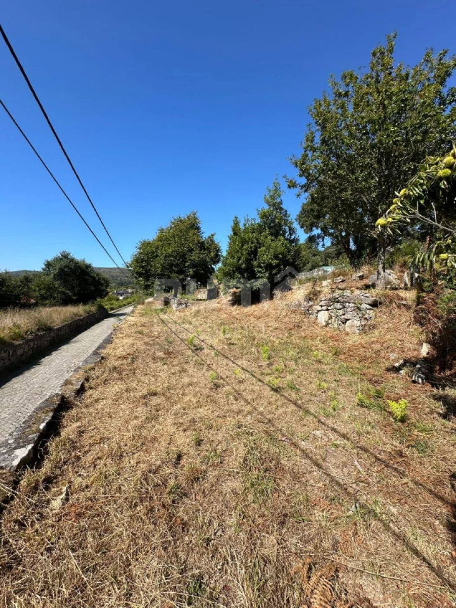 Quinta para Venda em Riba de Ancora Foto 9