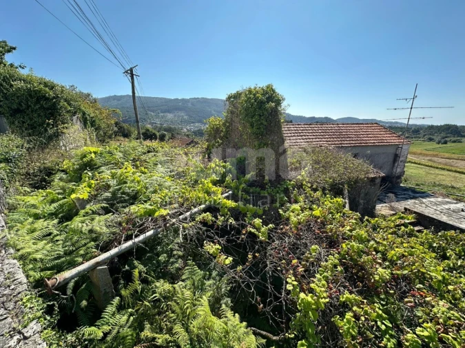 Quinta para Venda em Riba de Ancora Foto 12