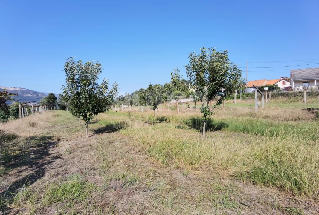Terreno para Venda em Calheiros Foto 4