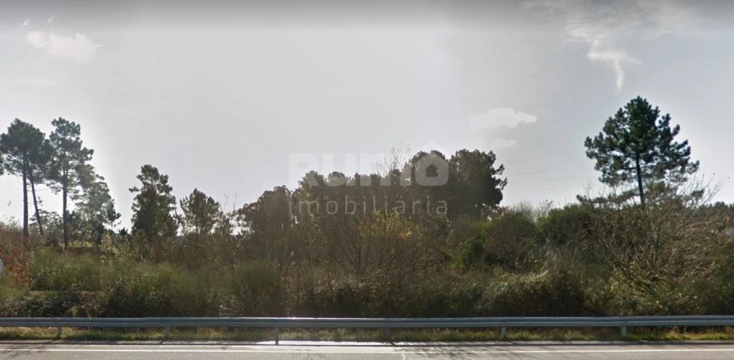 Terreno Comércio / Armazém para Venda em Darque Foto 2