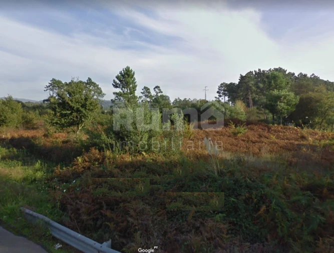 Terreno Comércio / Armazém para Venda em Darque Foto 1