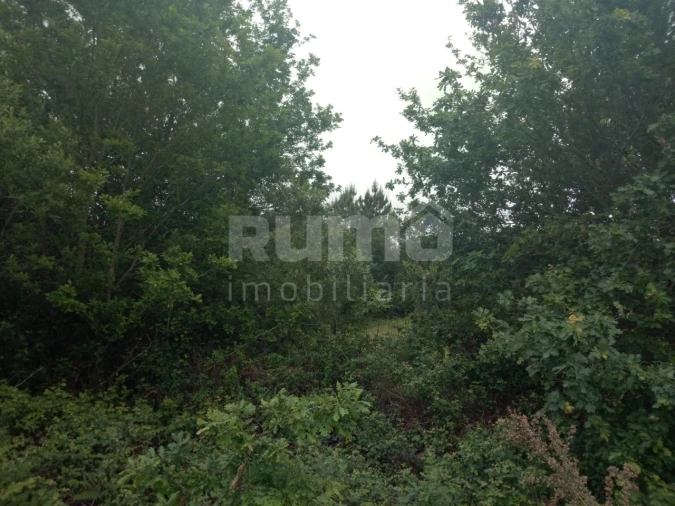 Terreno Comércio / Armazém para Venda em Darque Foto 3