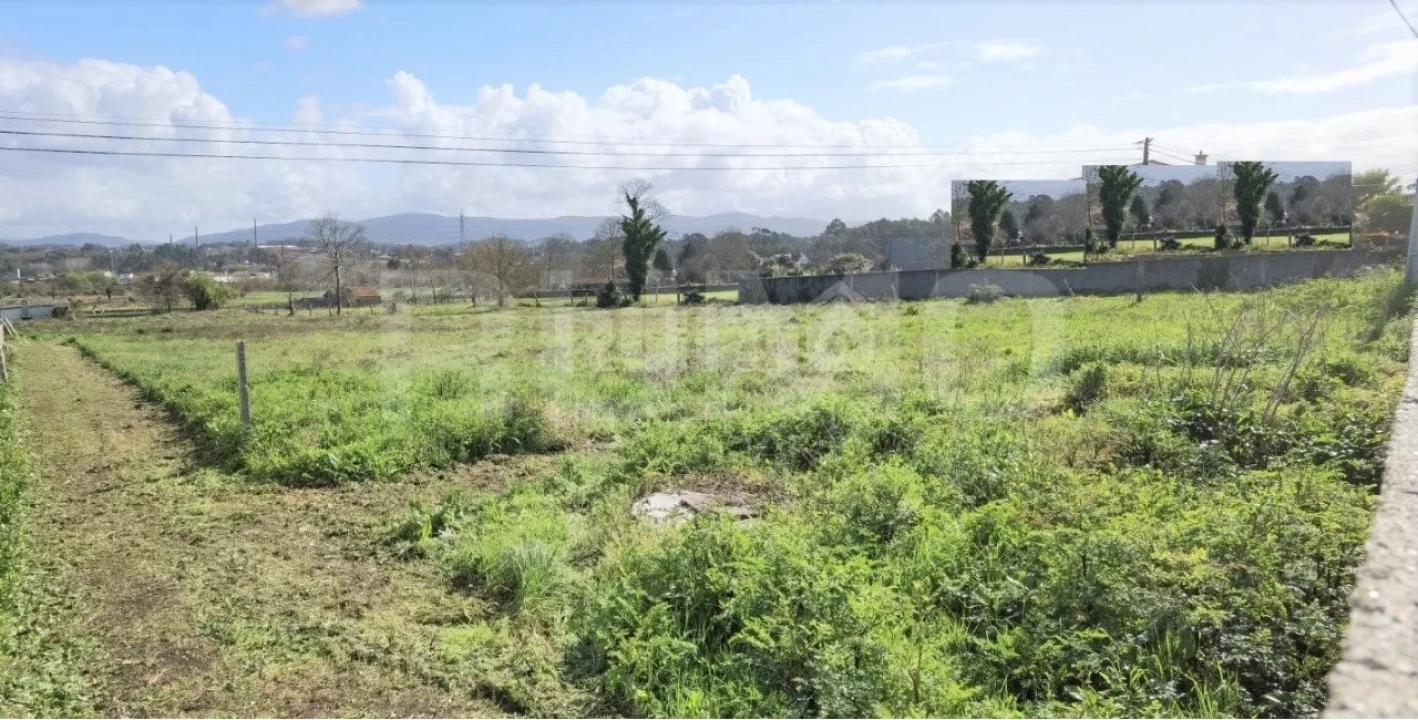 Terreno para Venda em São Romão de Neiva Foto 5