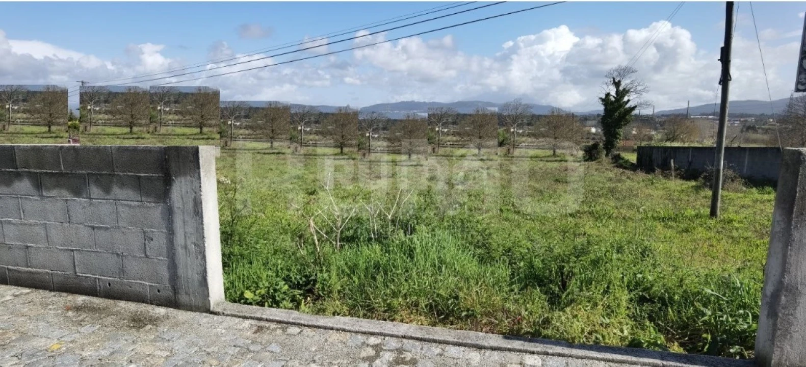 Terreno para Venda em São Romão de Neiva Foto 6