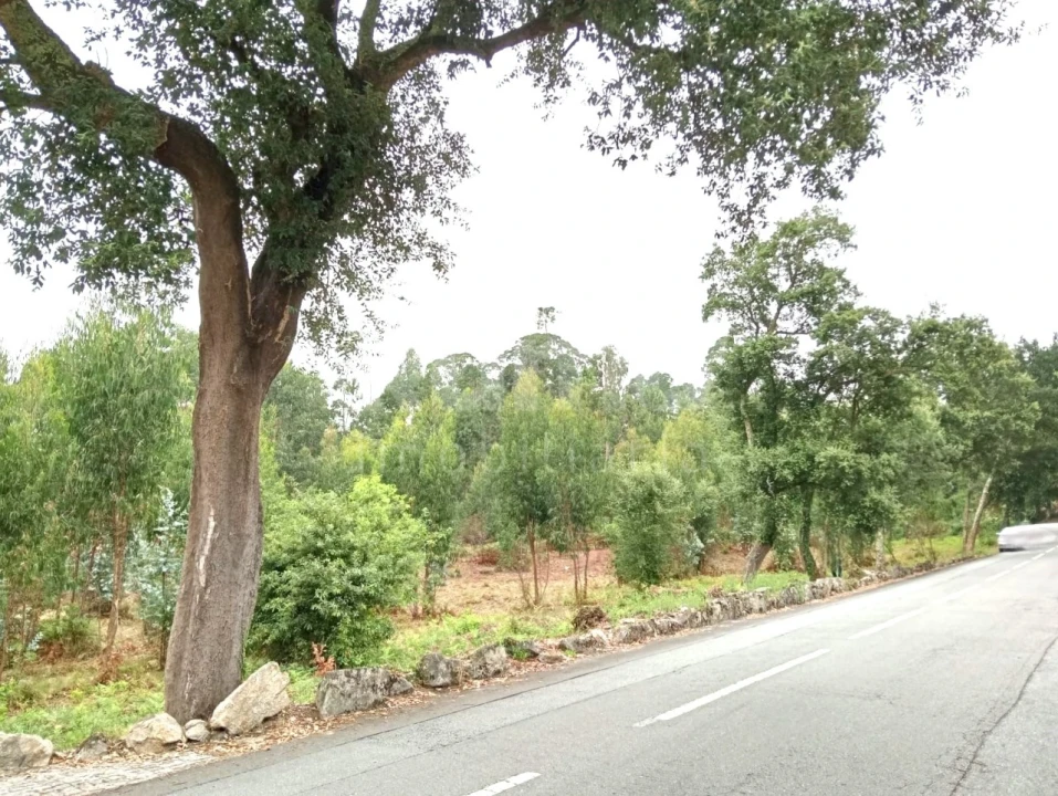 Quinta para Venda em Durrães e Tregosa Foto 3