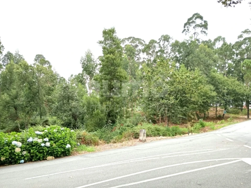 Quinta para Venda em Durrães e Tregosa Foto 4