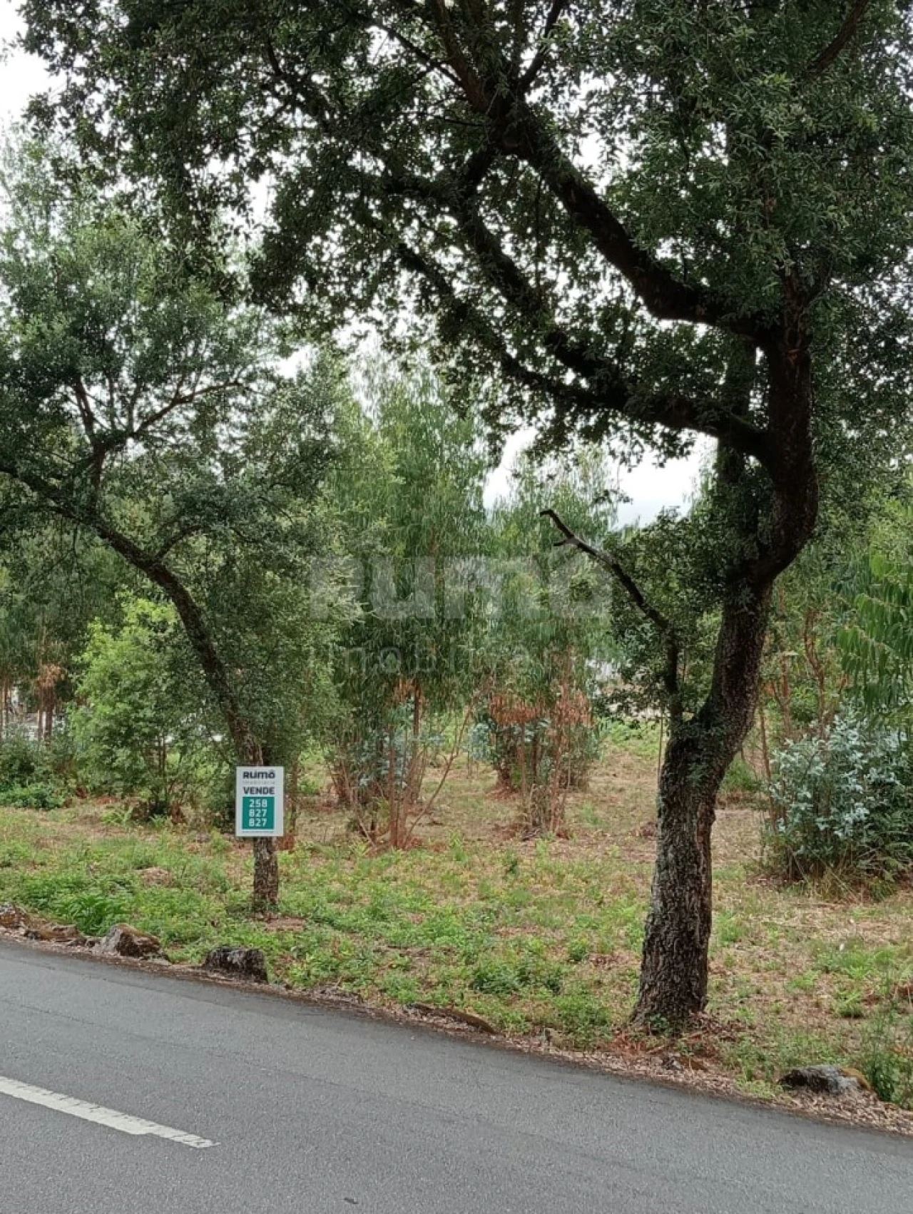 Quinta para Venda em Durrães e Tregosa Foto 5