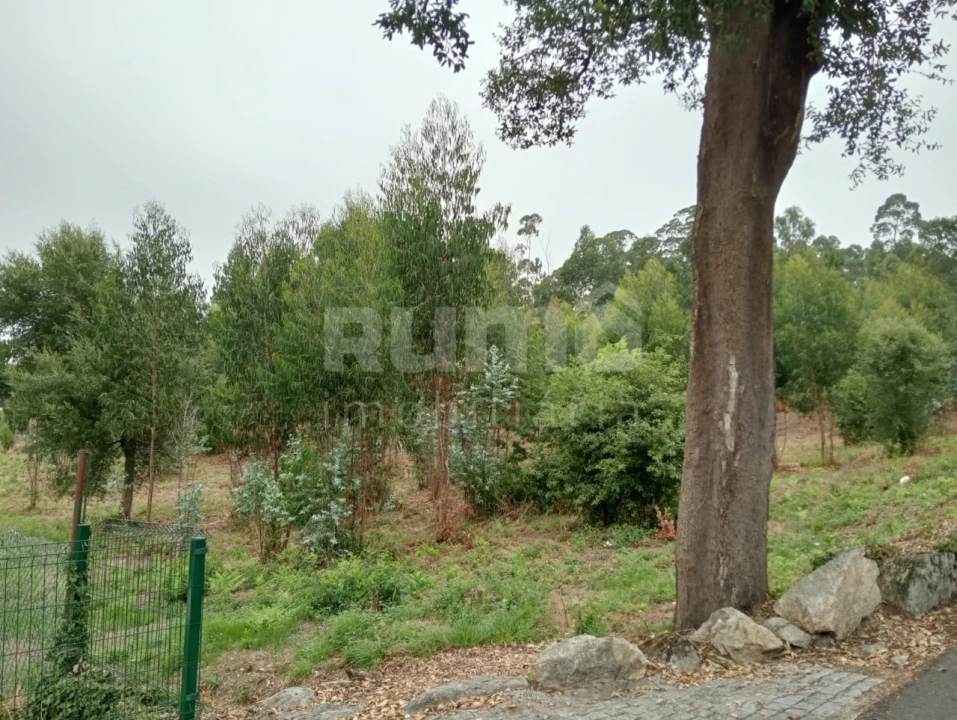 Quinta para Venda em Durrães e Tregosa Foto 6