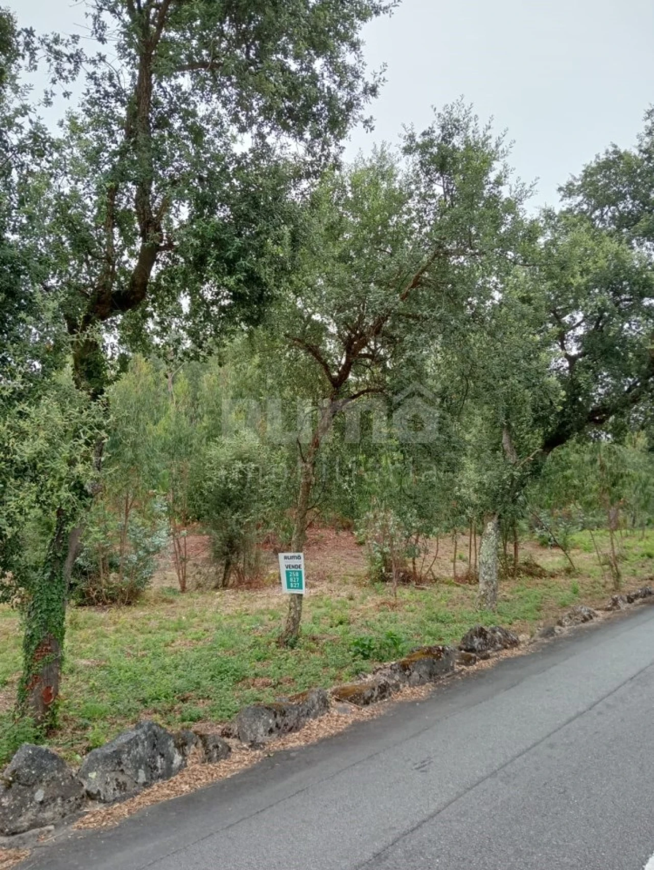 Quinta para Venda em Durrães e Tregosa Foto 7