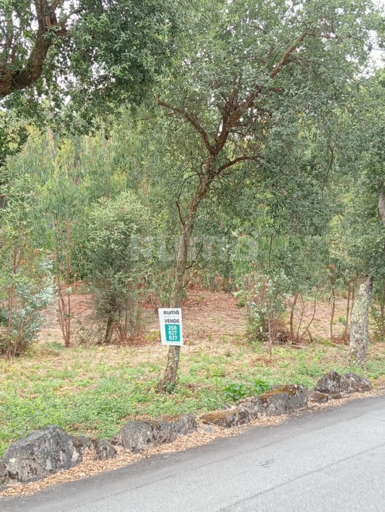 Quinta para Venda em Durrães e Tregosa Foto 8
