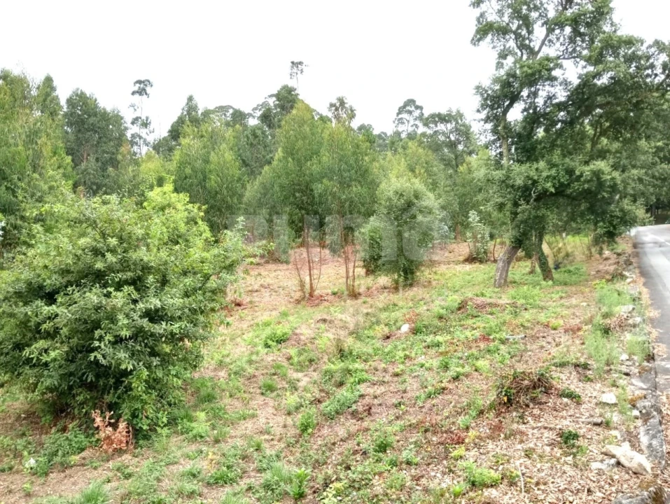 Quinta para Venda em Durrães e Tregosa Foto 11