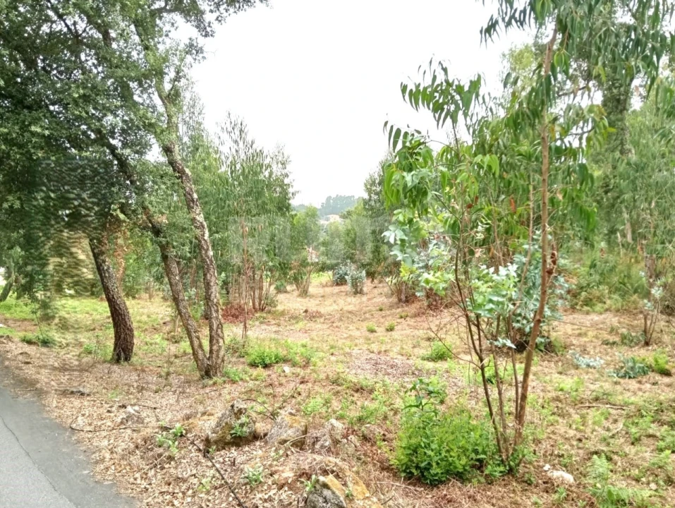 Quinta para Venda em Durrães e Tregosa Foto 15