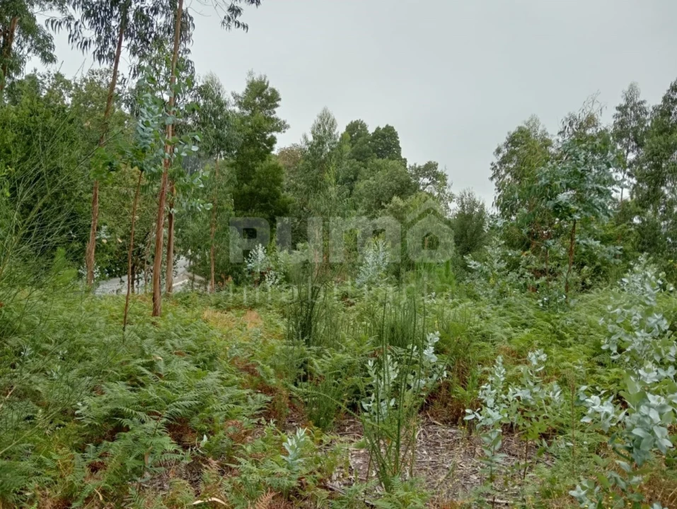 Quinta para Venda em Durrães e Tregosa Foto 17