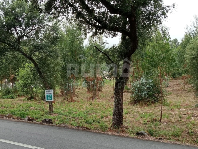 Quinta para Venda em Durrães e Tregosa Foto 2