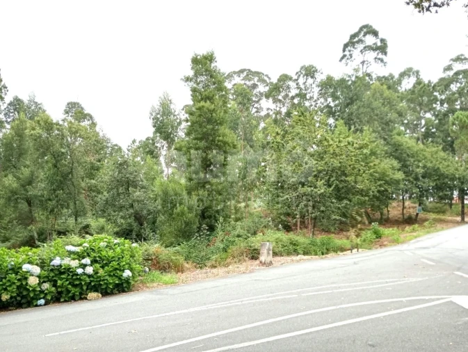 Quinta para Venda em Durrães e Tregosa Foto 4