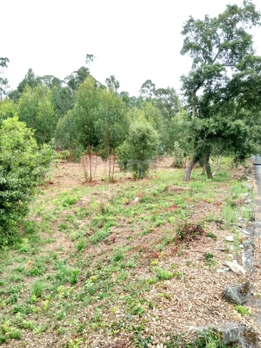 Quinta para Venda em Durrães e Tregosa Foto 10