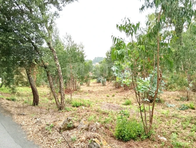 Quinta para Venda em Durrães e Tregosa Foto 15