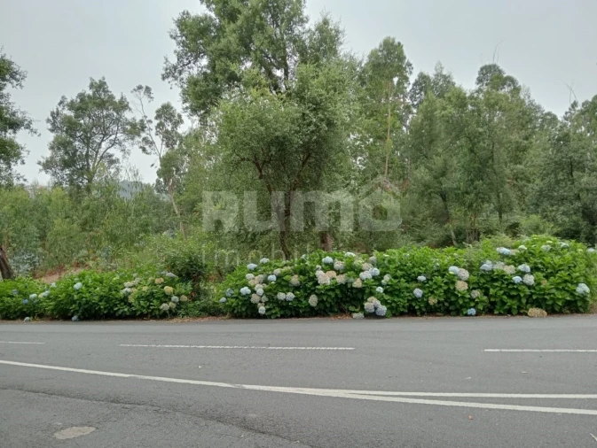 Quinta para Venda em Durrães e Tregosa Foto 16