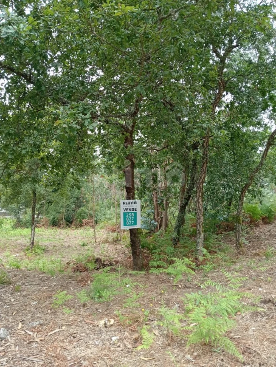 Quinta para Venda em Durrães e Tregosa Foto 18