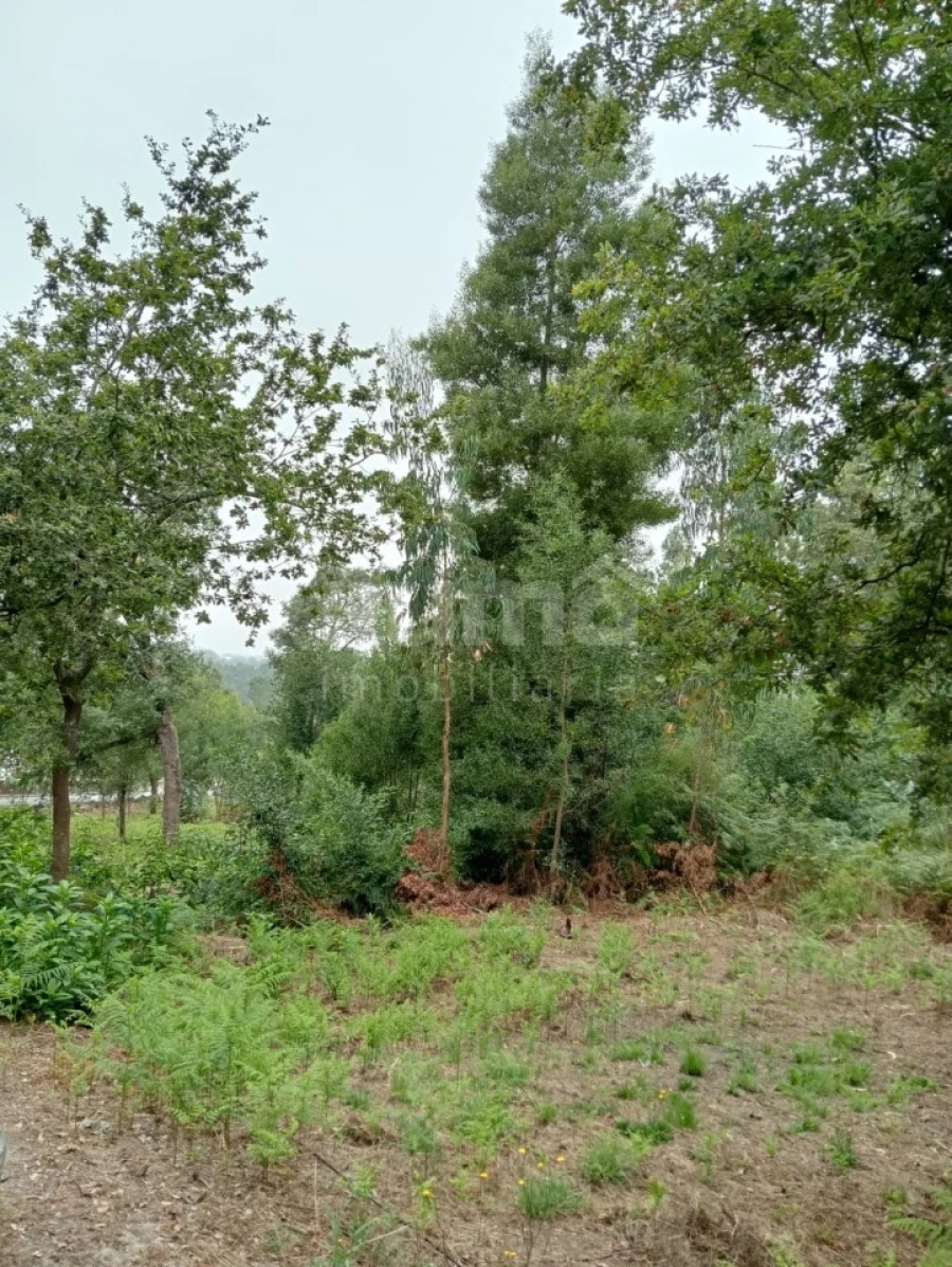 Quinta para Venda em Durrães e Tregosa Foto 24