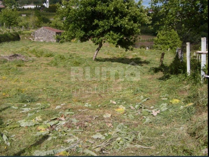 Terreno para Venda em Mentrestido Foto 2