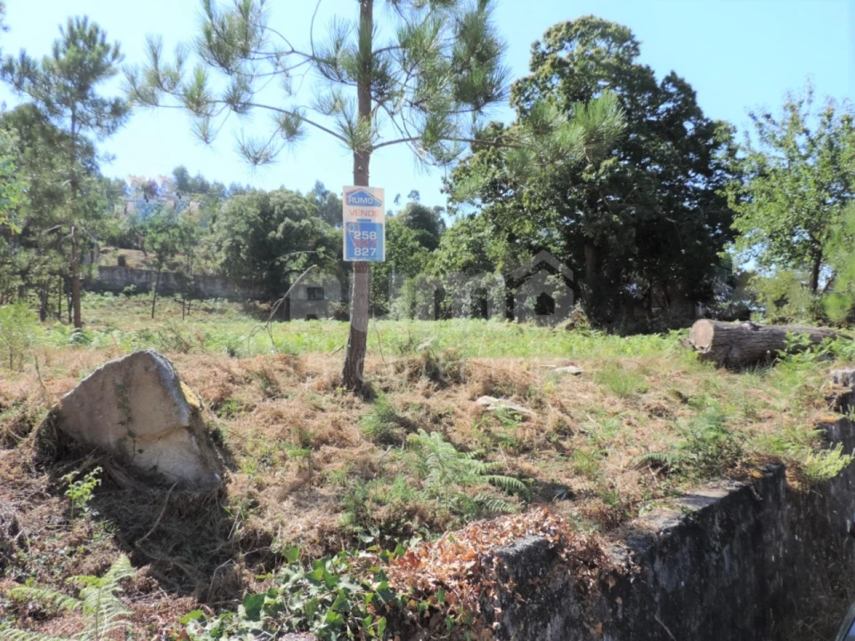 Terreno para Venda em Vila Praia de Ancora Foto 2