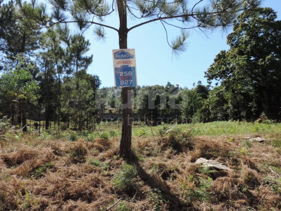 Terreno para Venda em Vila Praia de Ancora Foto 3