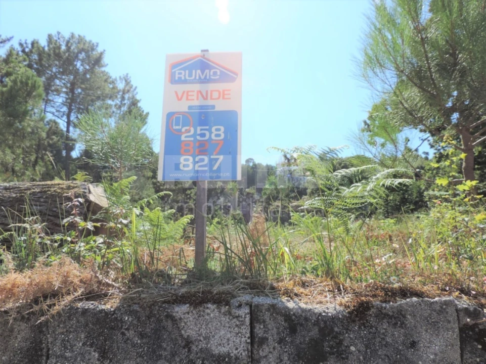 Terreno para Venda em Vila Praia de Ancora Foto 6