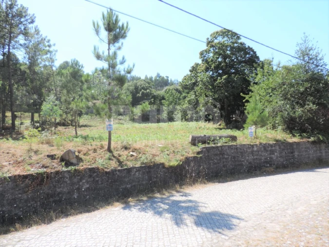Terreno para Venda em Vila Praia de Ancora Foto 1