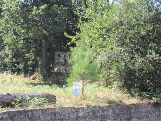 Terreno para Venda em Vila Praia de Ancora Foto 4