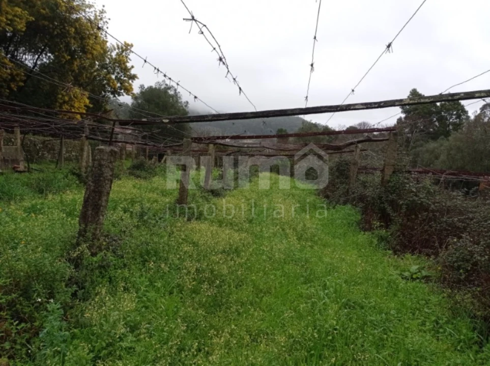 Quinta T3 para Venda em Cardielos e Serreleis Foto 7