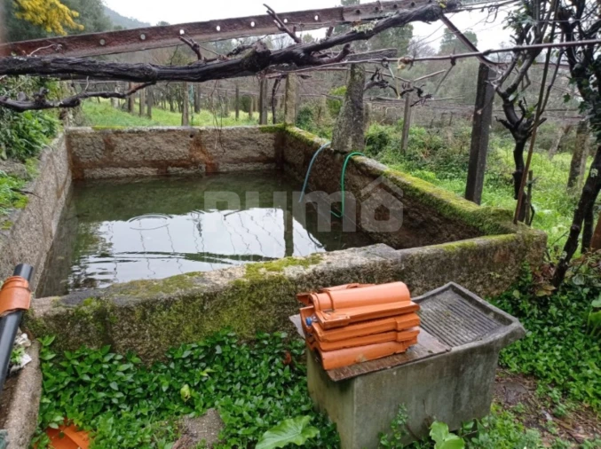 Quinta T3 para Venda em Cardielos e Serreleis Foto 5