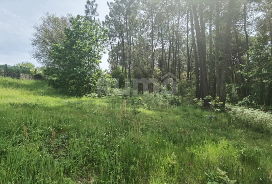 Terreno para Venda em Cerdal Foto 3