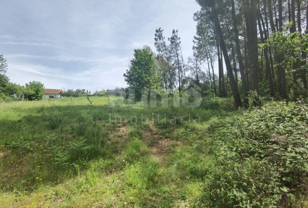 Terreno para Venda em Cerdal Foto 4