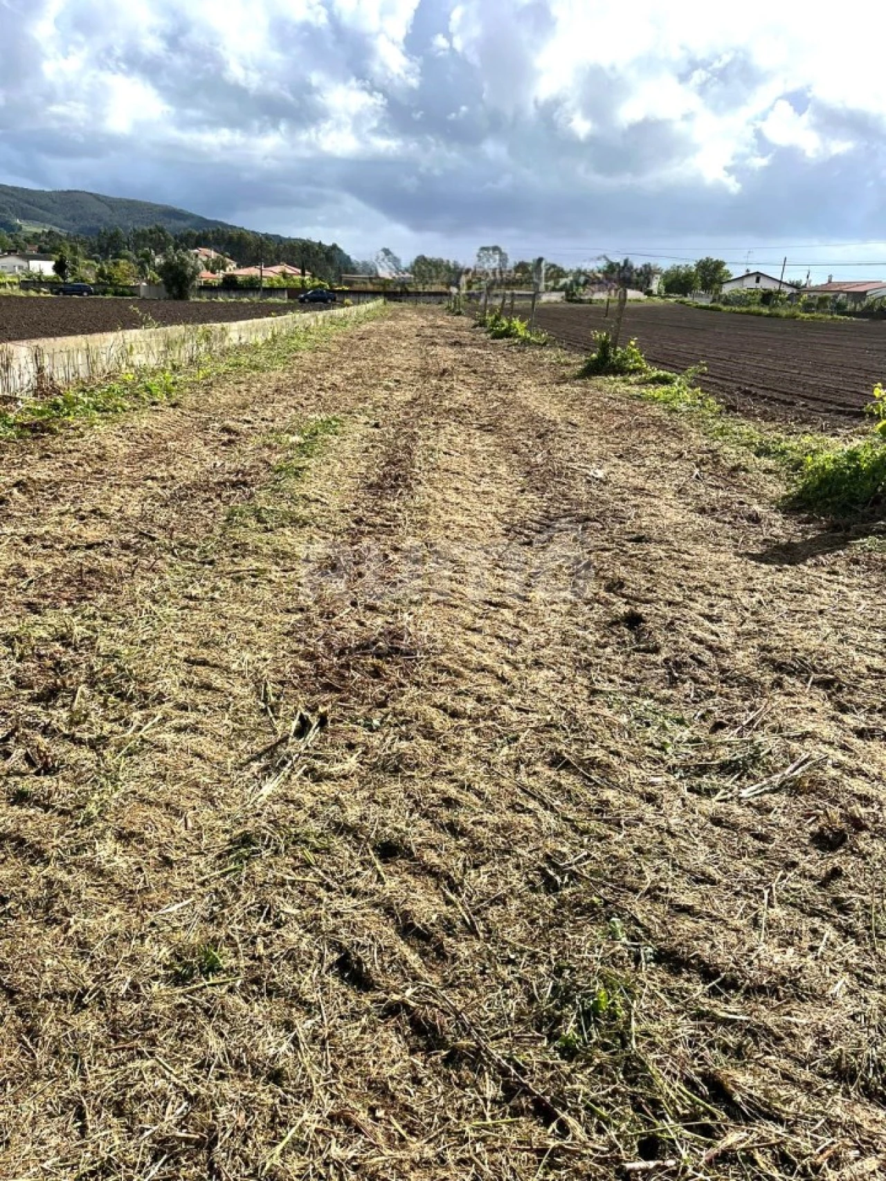 Terreno para Venda em Barroselas e Carvoeiro Foto 5