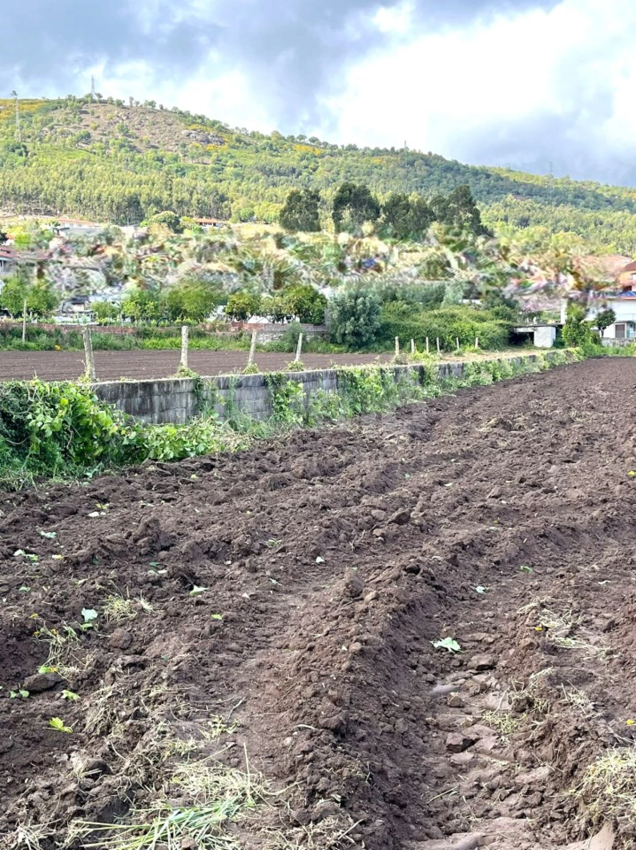 Terreno para Venda em Barroselas e Carvoeiro Foto 6