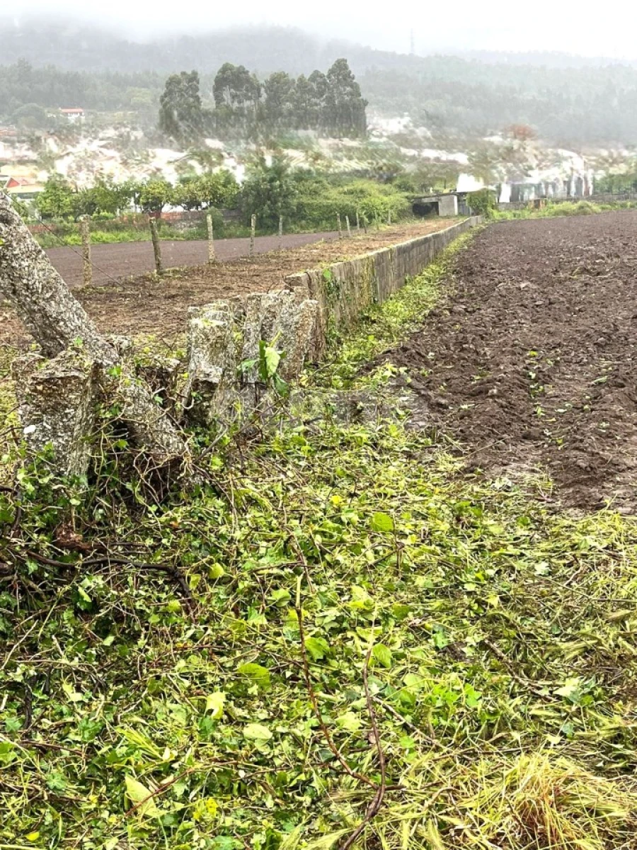 Terreno para Venda em Barroselas e Carvoeiro Foto 3