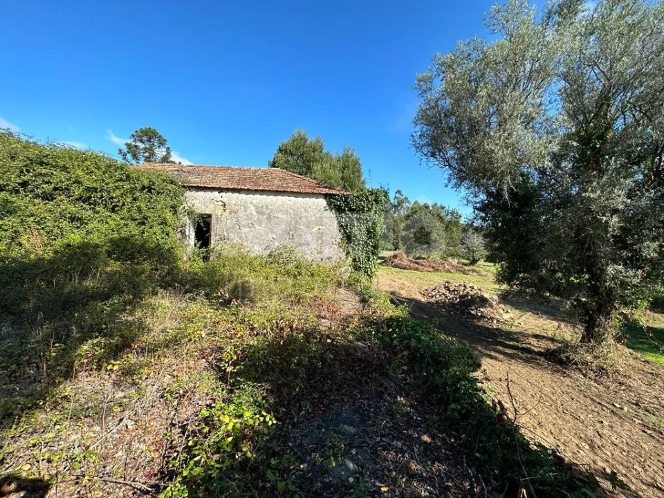 Quinta para Venda em Nogueira, Meixedo e Vilar de Murteda Foto 1