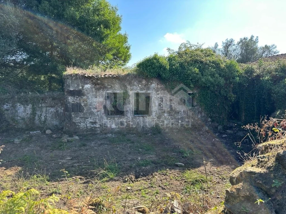 Quinta para Venda em Nogueira, Meixedo e Vilar de Murteda Foto 2