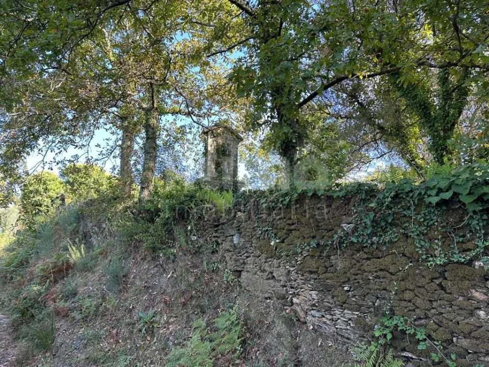 Quinta para Venda em Nogueira, Meixedo e Vilar de Murteda Foto 8