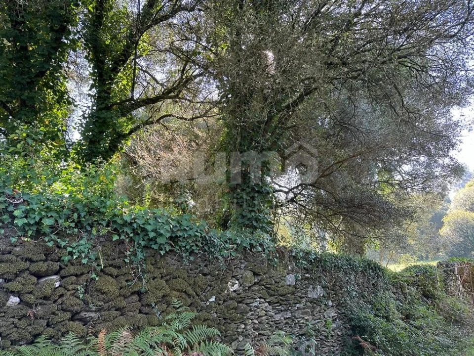 Quinta para Venda em Nogueira, Meixedo e Vilar de Murteda Foto 9