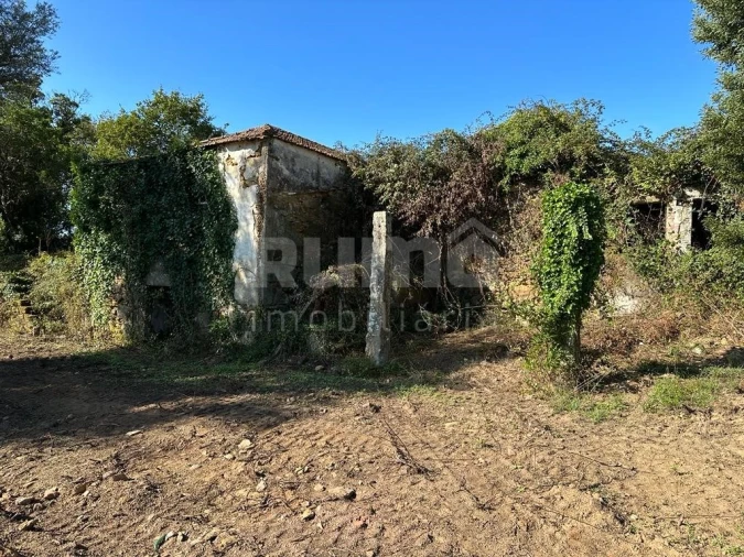 Quinta para Venda em Nogueira, Meixedo e Vilar de Murteda Foto 3
