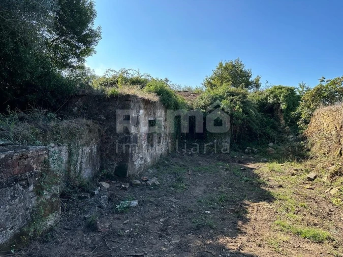 Quinta para Venda em Nogueira, Meixedo e Vilar de Murteda Foto 4