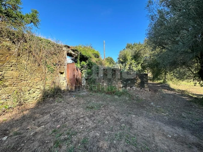 Quinta para Venda em Nogueira, Meixedo e Vilar de Murteda Foto 5