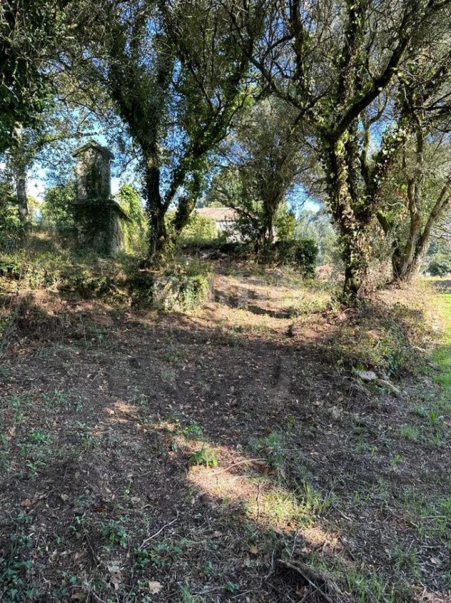 Quinta para Venda em Nogueira, Meixedo e Vilar de Murteda Foto 6