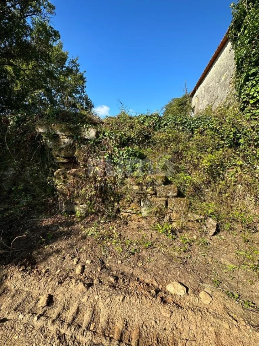 Quinta para Venda em Nogueira, Meixedo e Vilar de Murteda Foto 10